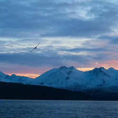 Lyngen Vista - Arctic Boutique 펜션 *