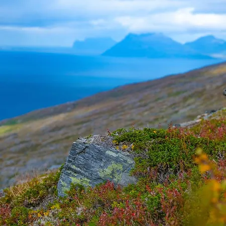 Lyngen Vista - Arctic Luxury! * Hamnnes