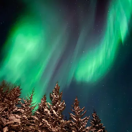 Casa vacanze Lyngen Vista - Arctic Luxury Hamnnes