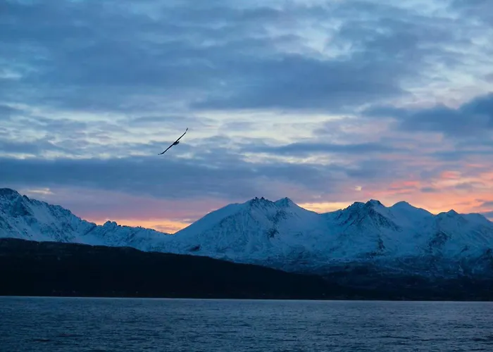 Lyngen Vista - Arctic Luxury Feriehus *