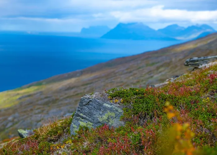 Lyngen Vista - Arctic Luxury * Hamnnes