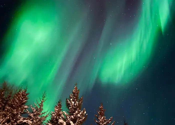 Feriehus Lyngen Vista - Arctic Luxury Hamnnes