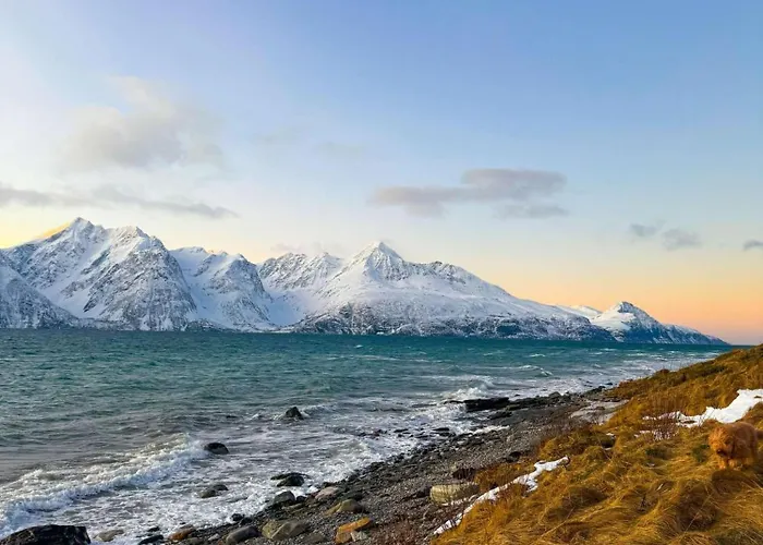 Lyngen Vista - Arctic Luxury