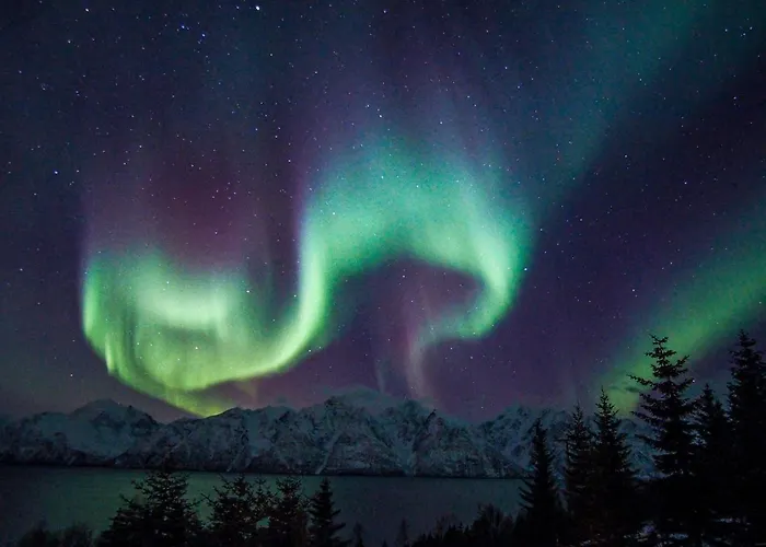 Lyngen Vista - Arctic Luxury Hamnnes