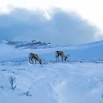 Lyngen Vista - Arctic Boutique Lodge