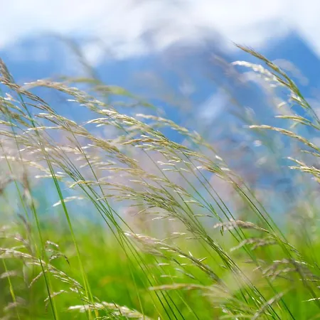 بيت للعطل Lyngen Vista - Arctic Luxury