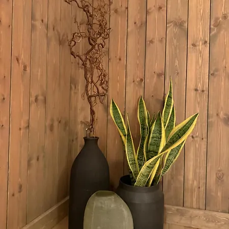 Lyngen Vista - Arctic Luxury بيت للعطل Hamnnes