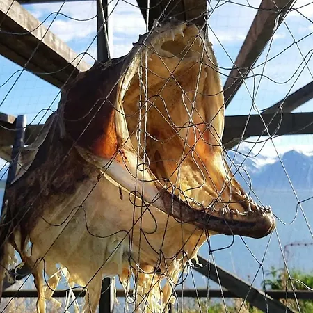 Lyngen Vista - Arctic Luxury *