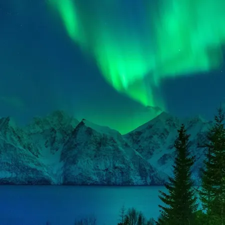 Lyngen Vista - Arctic Luxury بيت للعطل *